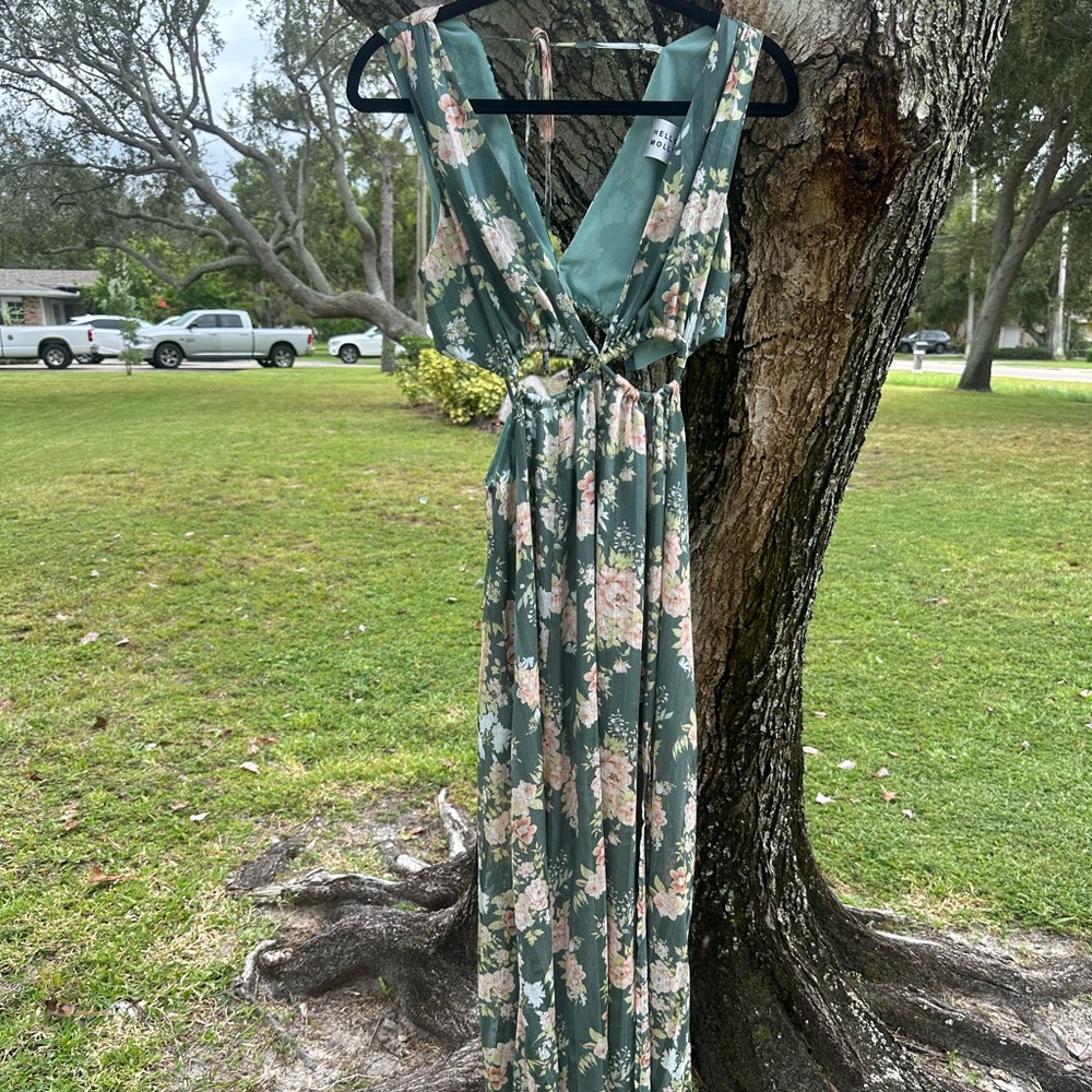 Hello Molly Sage Floral Maxi Dress
